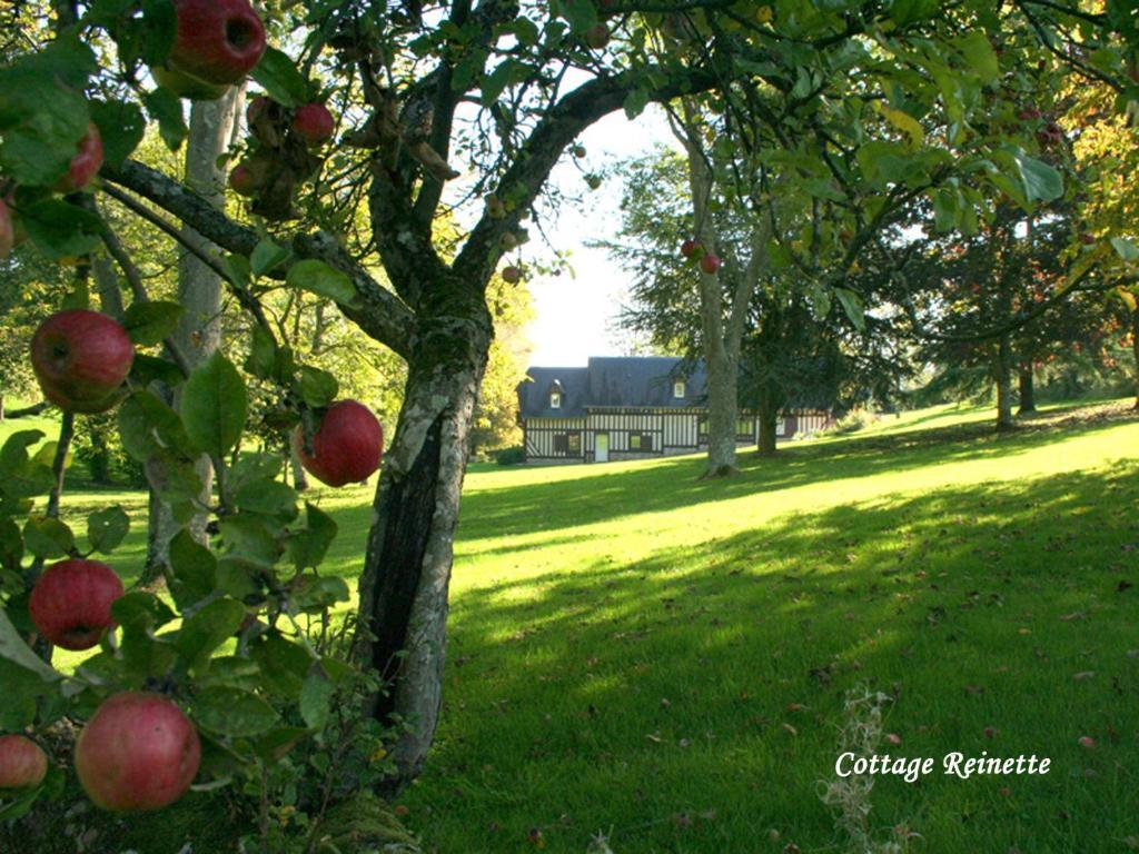 Les Fermes De Florence Bien Etre Et Nature Les Champeaux 部屋 写真